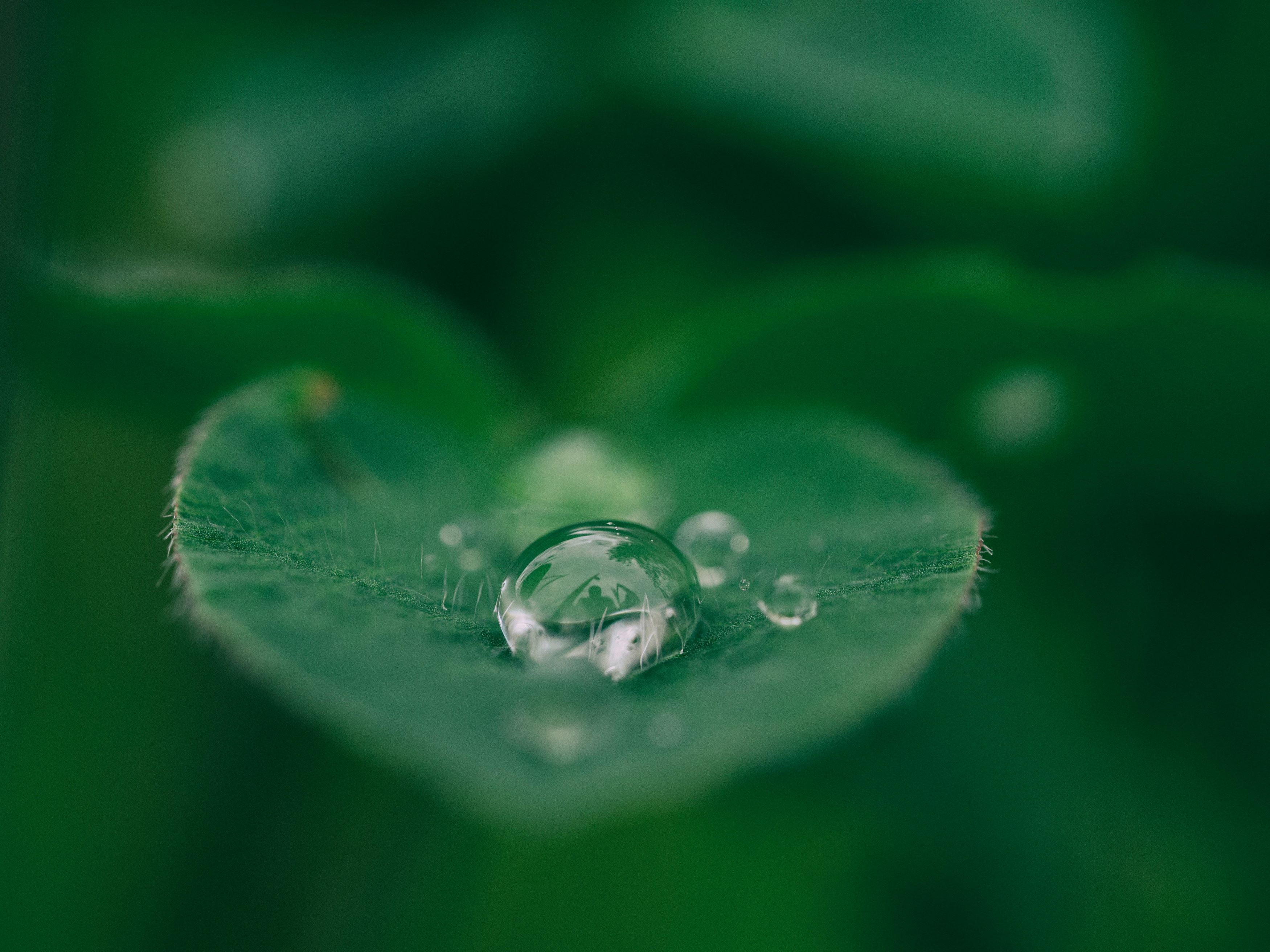 水素を吸う